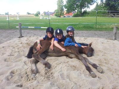 Frühjahrs-Reiterferien bei Lübeck - Holsteinischen Schweiz