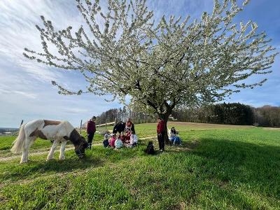 Kinder-Sommerreiterferien Oettingen
