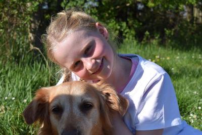 Hundeführerschein Frankfurt Frühjahr - Juvigo