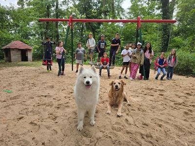 Hunde-Tagescamp Frankfurt Frühjahr - Juvigo