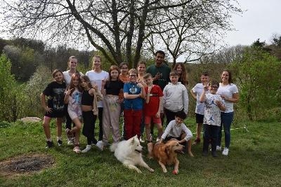 Hunde-Tagescamp Frankfurt Sommer - Juvigo