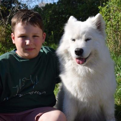 Hunde-Tagescamp Frankfurt Herbst - Juvigo