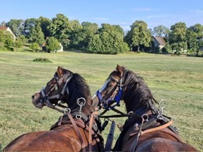 Herbst-Reiterferien in Strameuß - Nordwestmecklenburg