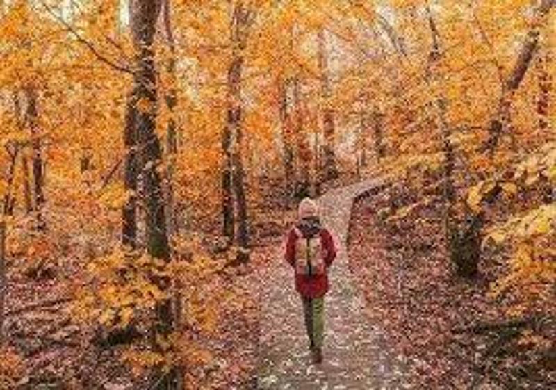 Ferienlager Bayerischer Wald 2026