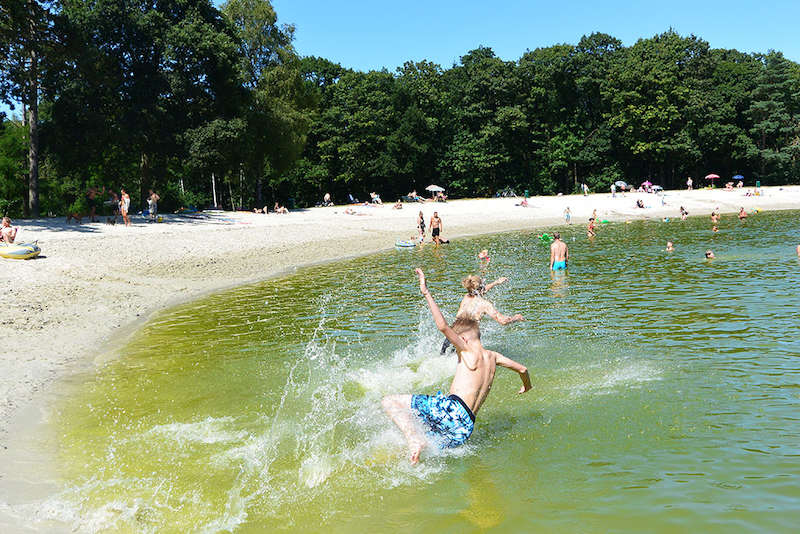 Ferienlager Drenthe