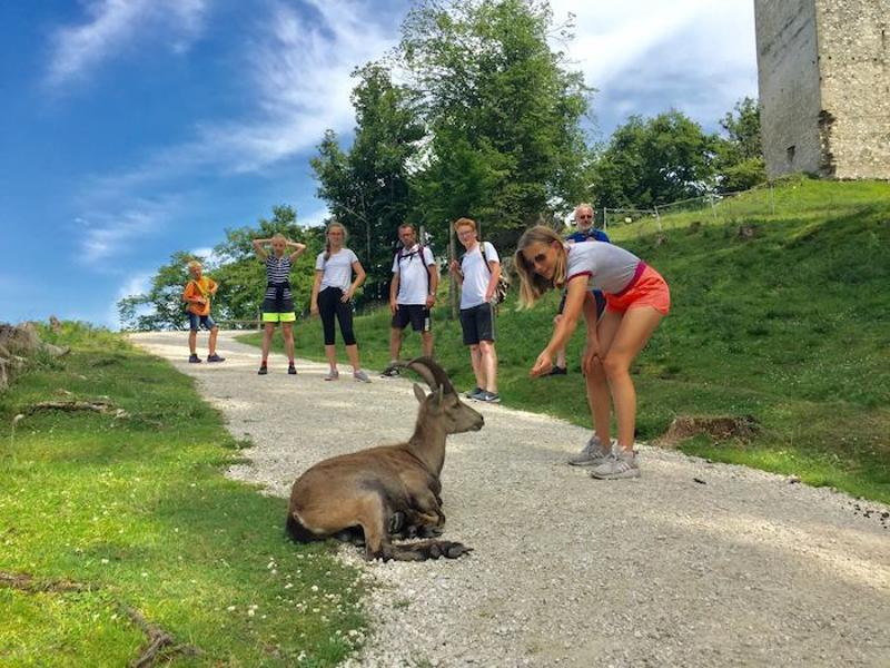 Ferienlager Wolfgangsee 2025 Mit Juvigo ins Feriencamp Juvigo