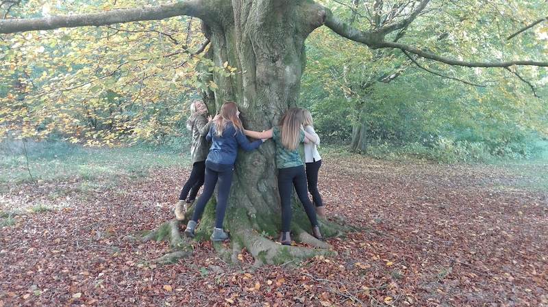 Jugendreisen Herbst