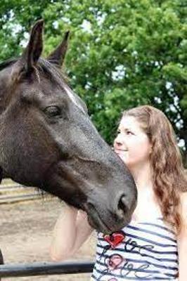 Natural Horsemanship für Einsteiger 2025