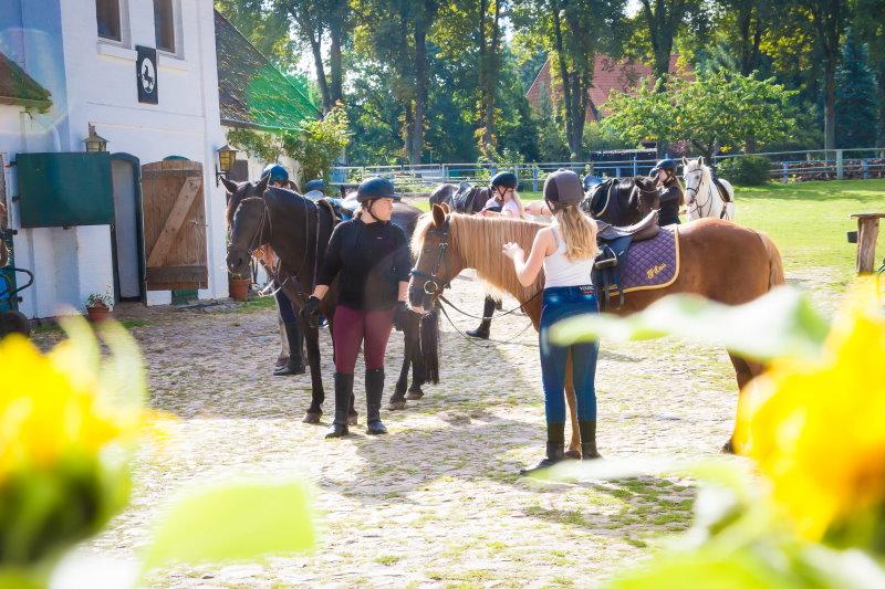 Reiterferien Lüneburger Heide 2026