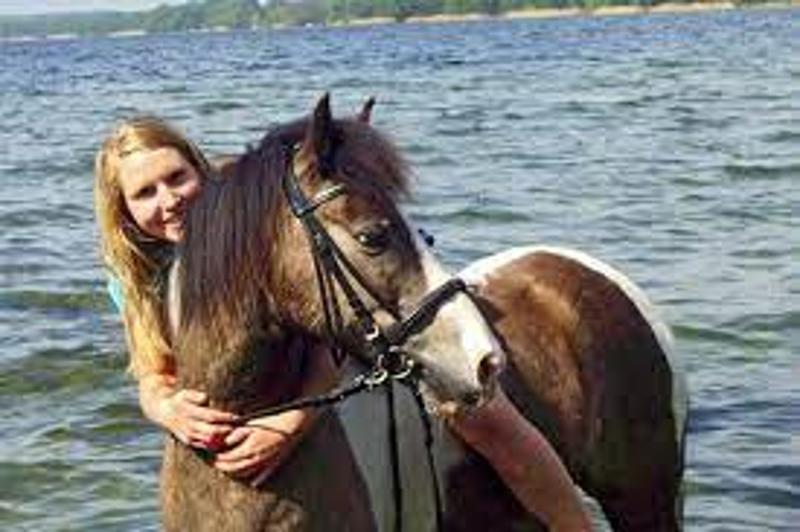 Reiterferien Nordsee für Kinder