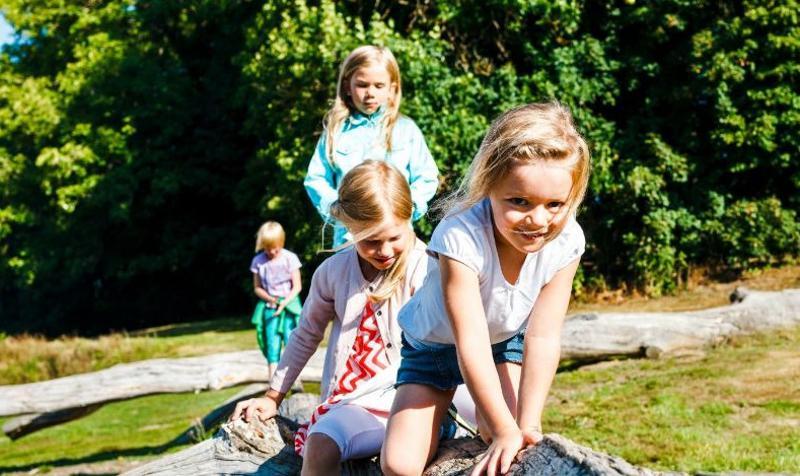 Wochenendcamps