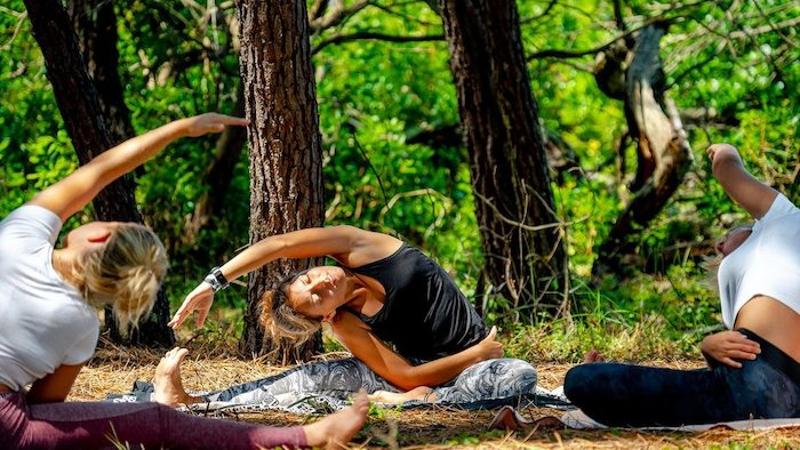 Yoga-Camps 2026