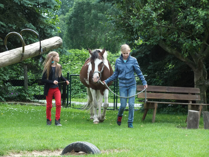 Zwei Mädchen führen ein Pony über die grüne Koppel