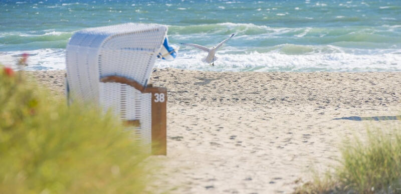 Panoramabild vom Feriencamp Rügen mit weissem Strandkorb und Moewe